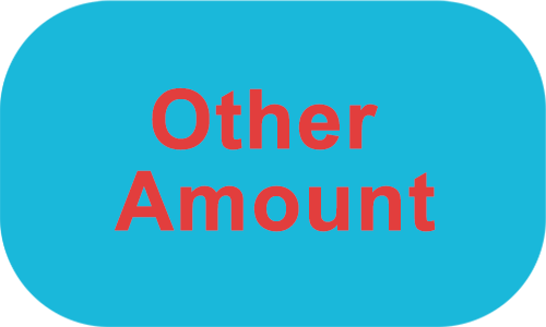 other-amount